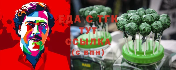 гидра Покачи