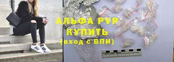 гидра Покачи
