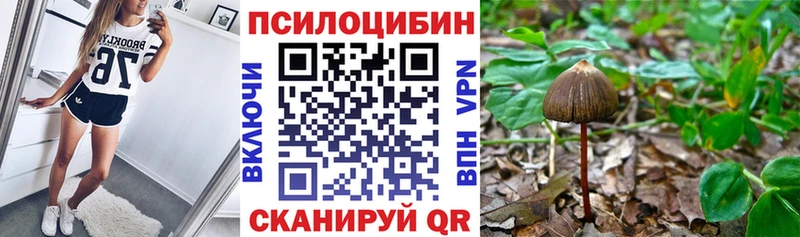Псилоцибиновые грибы Psilocybe  MEGA зеркало  Кинешма 